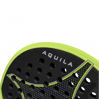 Starvie Aquila 2024